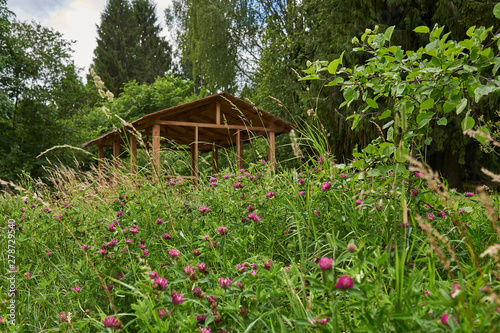 Barbecue gazebo in the forest, in the foreground blooming clover.