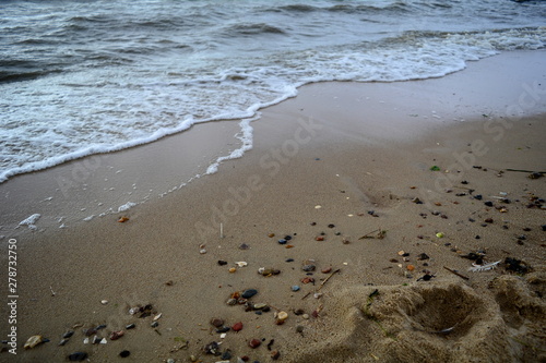 Fototapeta Naklejka Na Ścianę i Meble -  shells on the beach