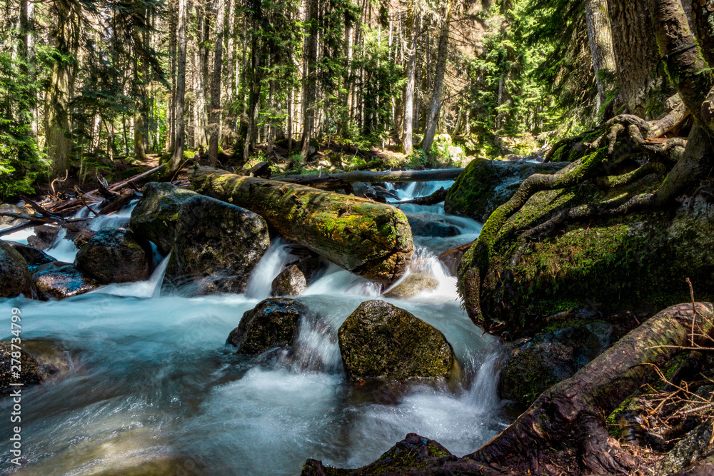 Mountain river water landscape. Wild river in mountains. Mountain river water landscape. Wild river in mountains.