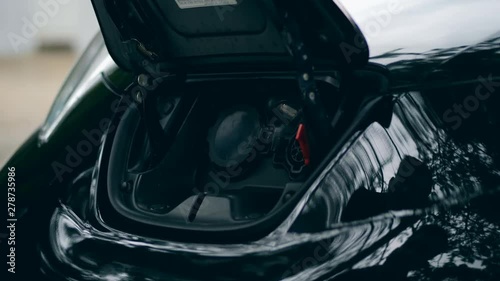 Wallpaper Mural Electrical fuel nozzle is getting taken out from the car Torontodigital.ca