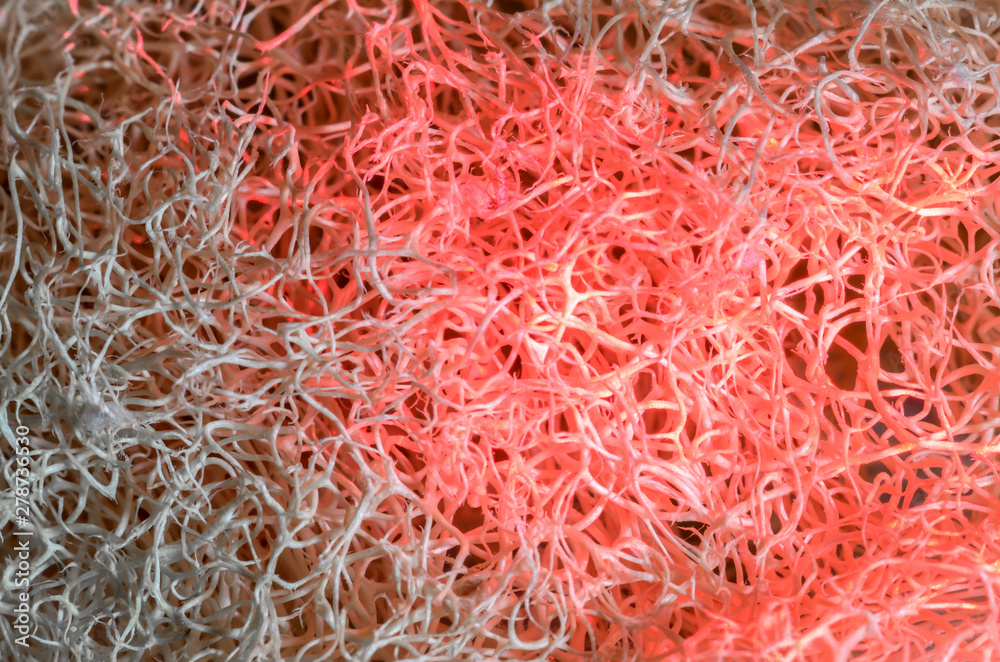 Abstract light painting loofah Background.Close-up. Abstract light painting loofah Background.Close-up.