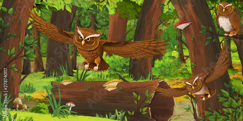 cartoon summer scene with deep forest and birds owls and some other bird - nobody on scene - illustration for children © honeyflavour