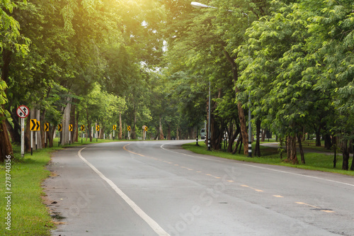 Landscape of straight road under the trees