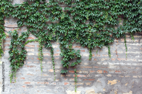 Red brick and gray old grun...