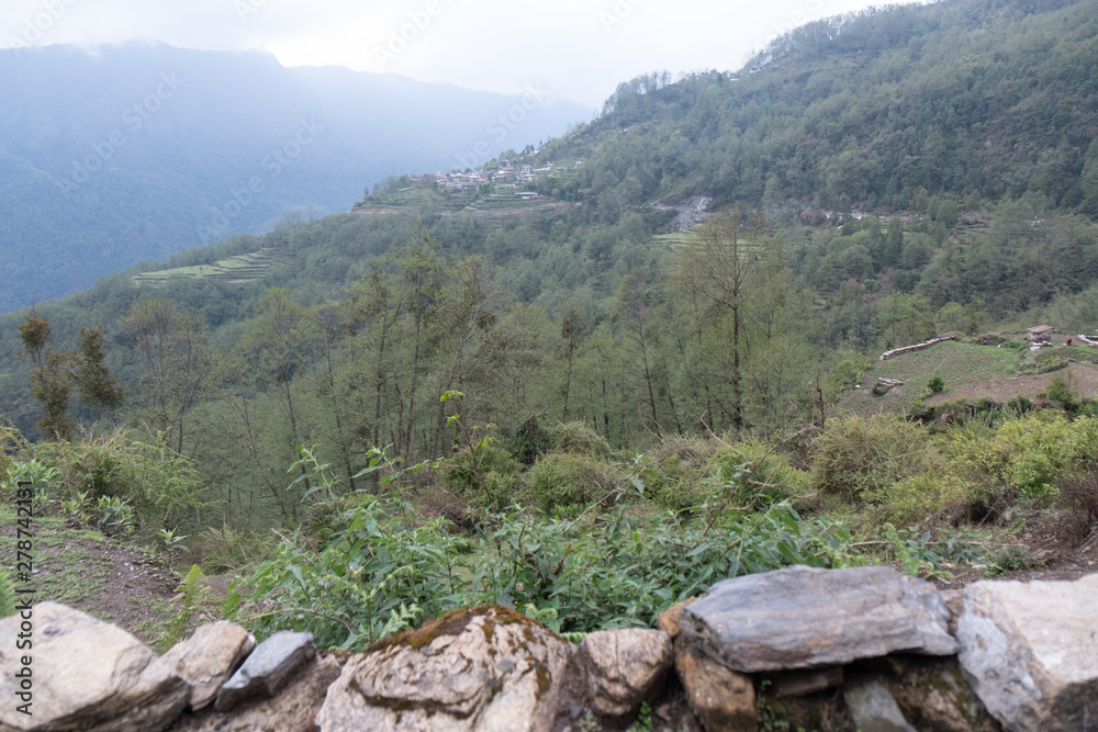 Trail on the Annapurna Base Camp Trek in tropical Rain forest Nepal. Trail on the Annapurna Base Camp Trek in tropical Rain forest Nepal.