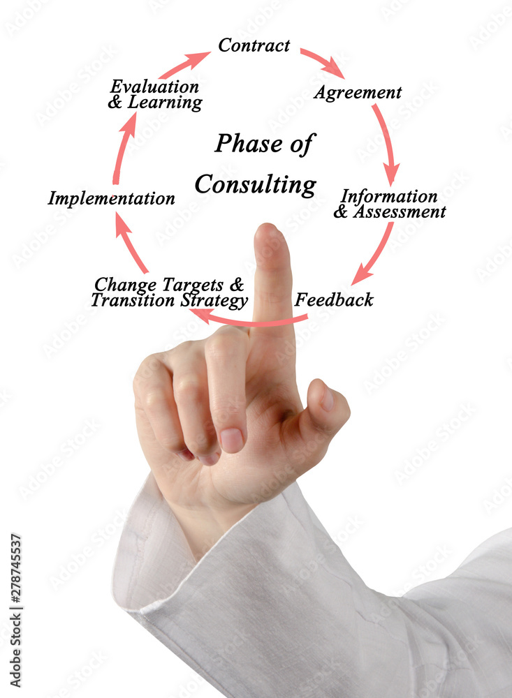 Seven Phase of assistance by Consulting. Seven Phase of assistance by Consulting.