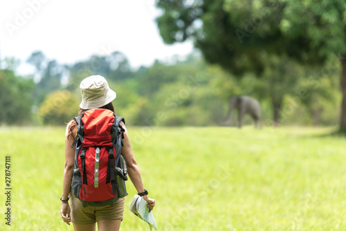 Women hiker or traveler with backpack adventure holding map to find directions and see elephant in the jungle forest outdoor for education nature on vacation. Travel and Lifestyle Concept