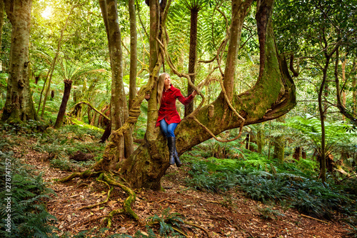 Φωτογραφία Woman relaxing in a tree among nature's rainforest garden