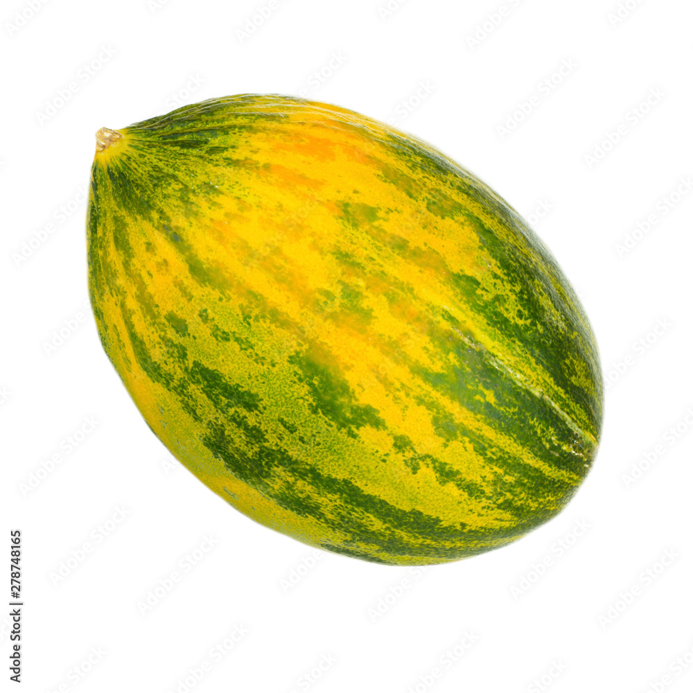 single fresh piel de sapo (SANTA CLAUS) melon isoalted on white background single fresh piel de sapo (SANTA CLAUS) melon isoalted on white background