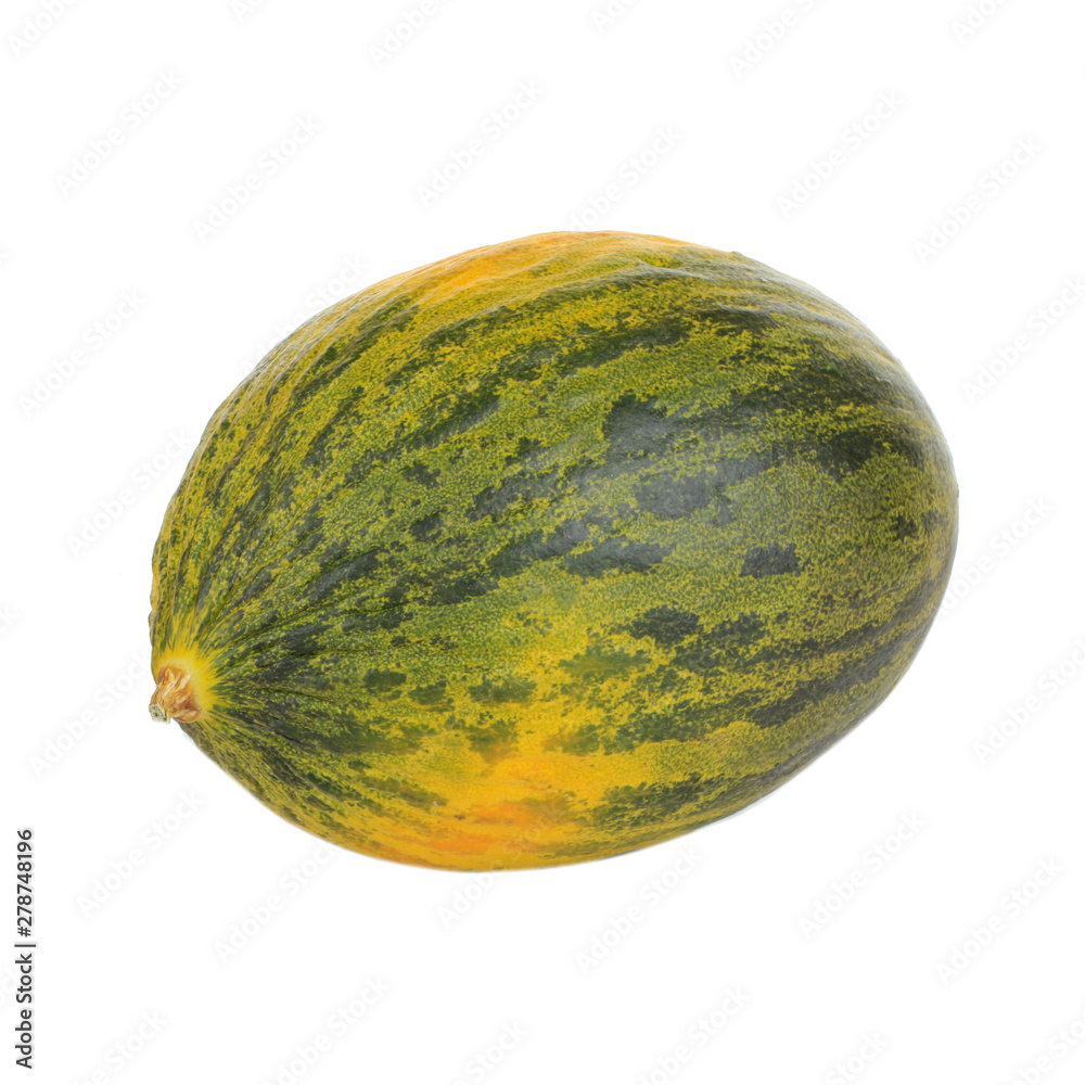 single fresh piel de sapo (SANTA CLAUS) melon isoalted on white background single fresh piel de sapo (SANTA CLAUS) melon isoalted on white background