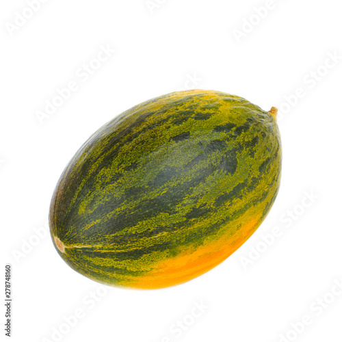 single fresh piel de sapo (SANTA CLAUS) melon isoalted on white background