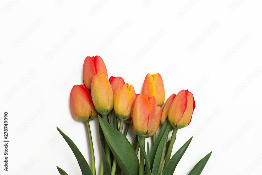 Obraz premium Bouquet of red tulips isolated on white background. Top view. Close-up.