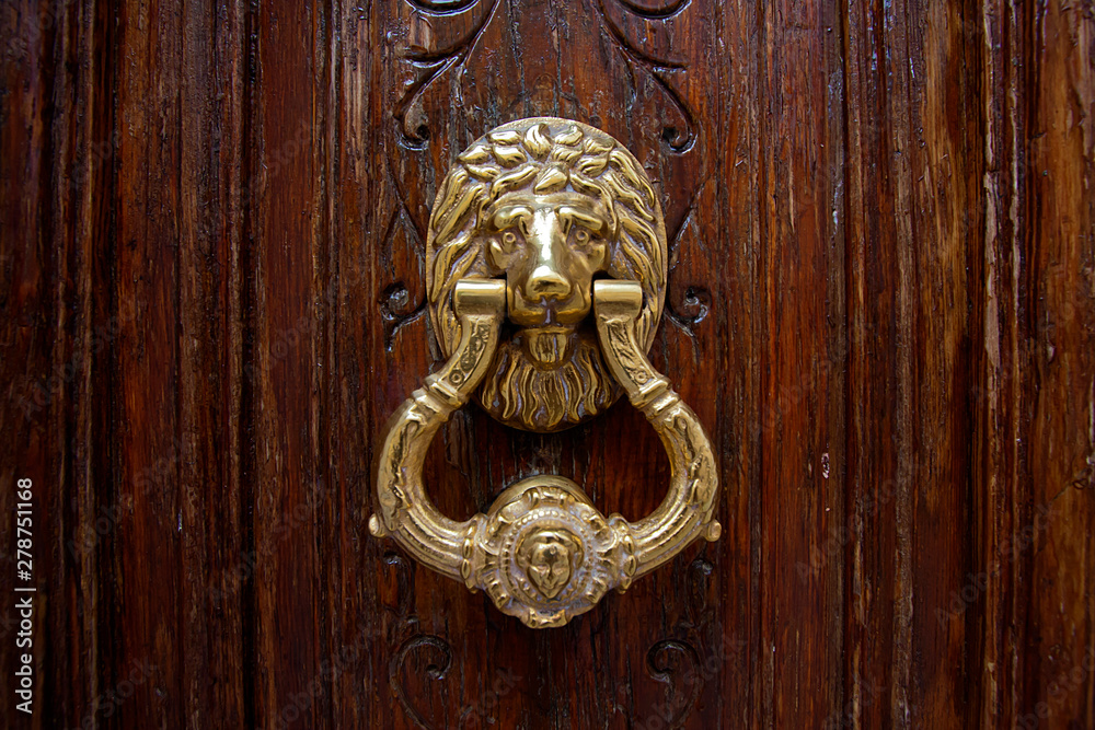 Lion Head Door Knocker Lion Head Door Knocker