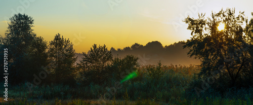 Sunset in the Forest. Beautiful summer sunrise panorama