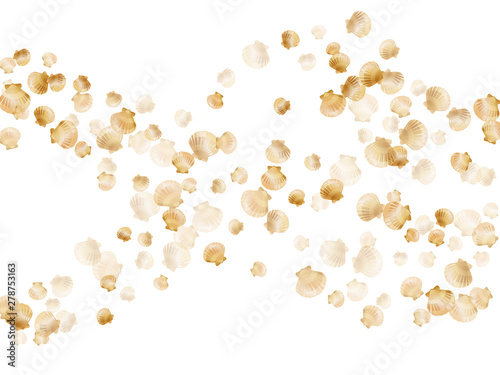 Gold seashells vector, golden pearl bivalved mollusks.