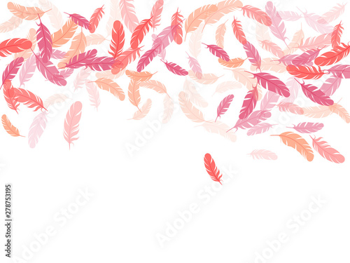 Detailed majestic feather on white design.