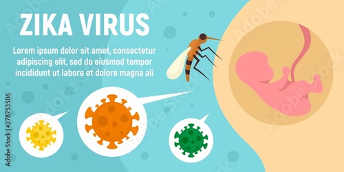 Zika virus mosquito concept banner. Flat illustration of zika virus mosquito vector concept banner for web design photo