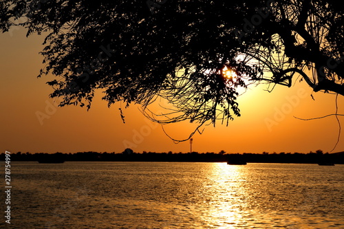 TREE INFRONT OF SUN AND RIVER