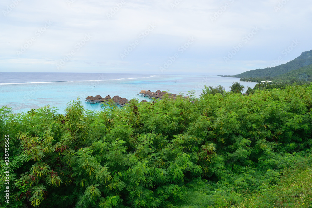 タヒチ　モーレア島