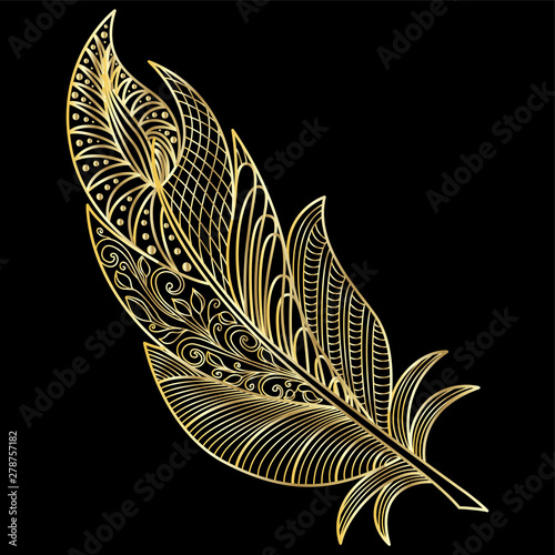 Feather isolated.  Vector illustration.