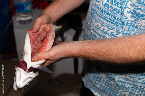 A man holds a fresh caught kokanee salmon open to inspect red meat