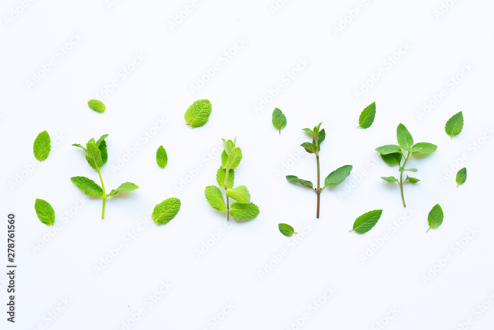 Different types of mint on white