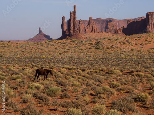 horse in monument valley of fire 