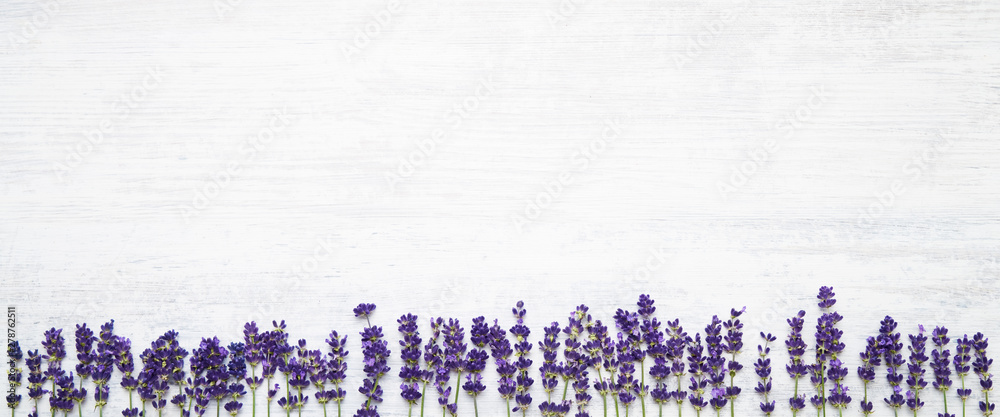 Lavender flowers border on white background. Copy space, top view. Summer background. Copy space, banner - obrazy, fototapety, plakaty 