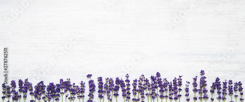 Lavender flowers border on white background. Copy space, top view. Summer background. Copy space, banner