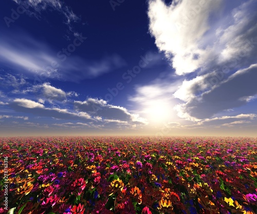 Flower field at sunset under a blue sky with clouds, 3d rendering