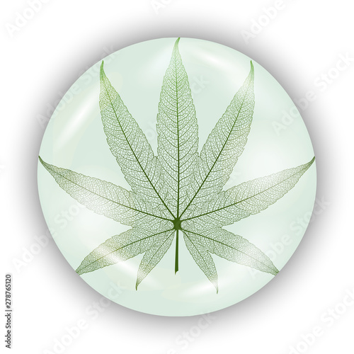 Icon. Leaf of medical cannabis. Marijuana. Vector illustration.