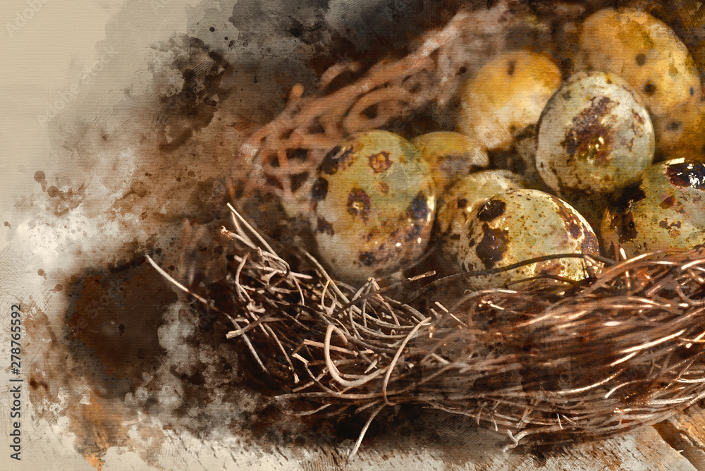 Obraz premium Digital watercolour painting of Moody natural lighting vintage retro style image of quaills eggs