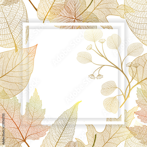 Beautiful background with leaves and space for text. Vector illustration. EPS 10.