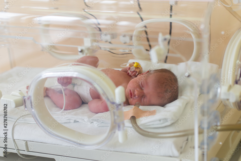 Premature newborn baby in the hospital incubator. Neonatal intensive care  unit Stock Photo | Adobe Stock