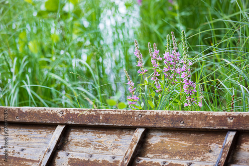 Close-up of old time rowboat and flower at lakeside