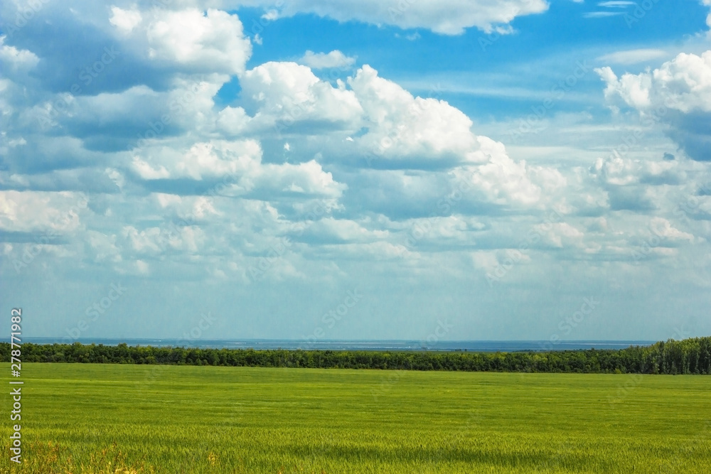 green field and blue sky with clouds green field and blue sky with clouds
