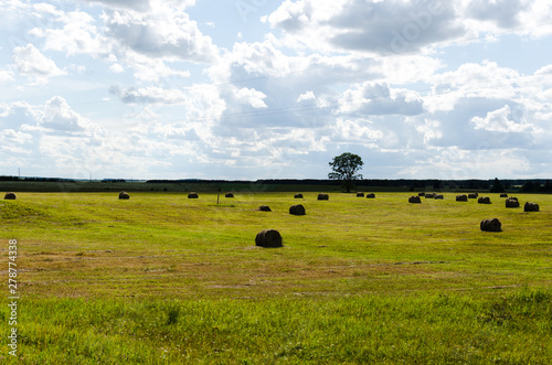 hay rolls in a field