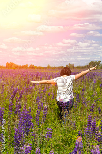 Fototapeta Naklejka Na Ścianę i Meble -  happy plus size woman enjoying summer in violet lupine field at blue sky at sunset. Plus size model. Concept - freedom from complexes