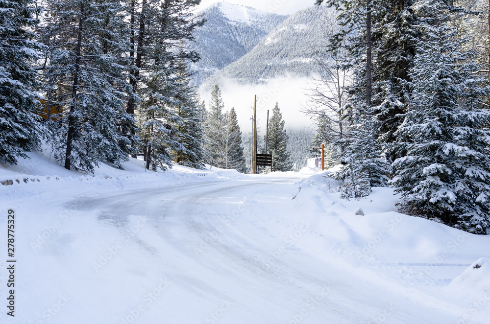 Fototapeta premium Tree lined road covered in fresh snow in the mountains in winter. Banff, AB, Canada.