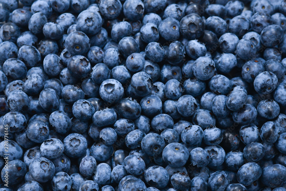 Fresh blueberry background. Texture blueberry berries close up. Fresh blueberry background. Texture blueberry berries close up.