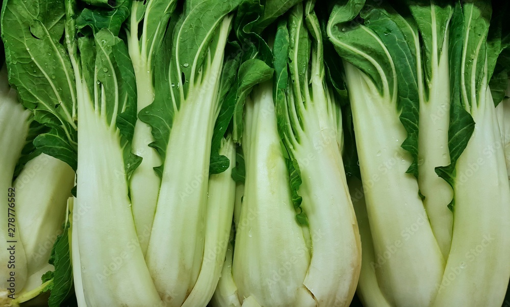 A display of fresh green Bok Choy leafy vegetables for sale on a supermarket shelf. It derives from Asia and is popular in Cantonese cooking.