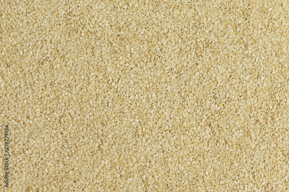 Closeup of lots of sesame seeds. Closeup of lots of sesame seeds.