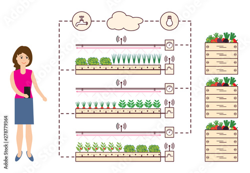 Woman controls the smart farm and agriculture.
