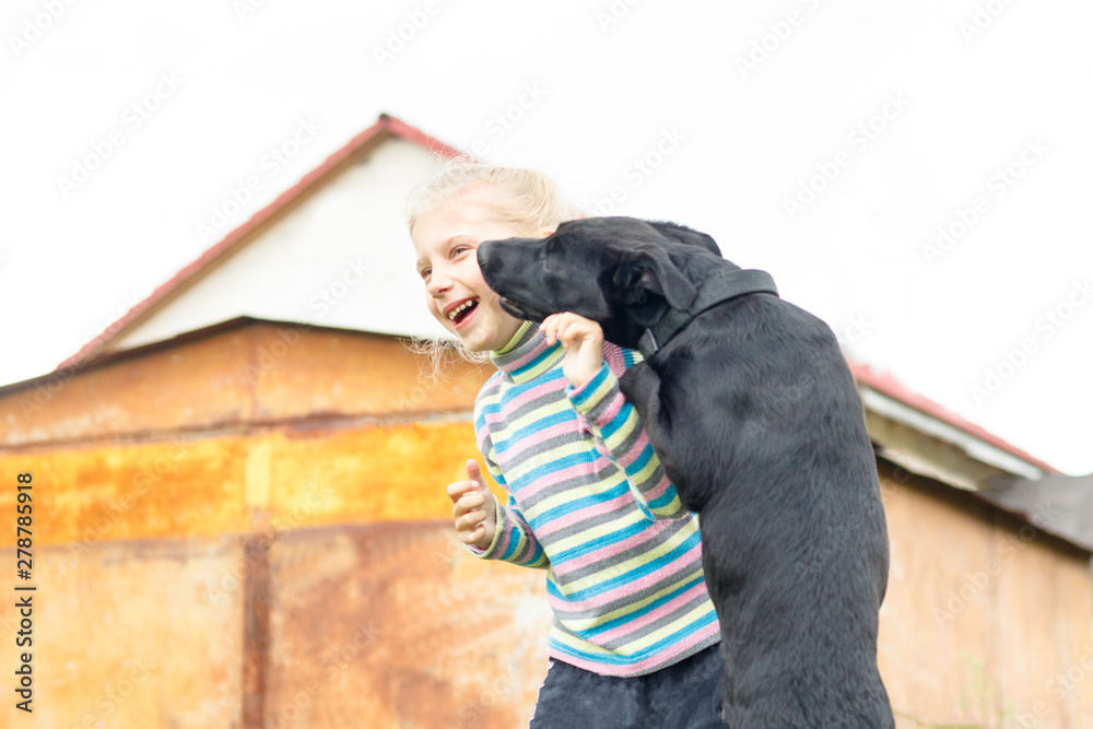 daylight. little girl playing with a black dog on the lawn in the yard. daylight. little girl playing with a black dog on the lawn in the yard.