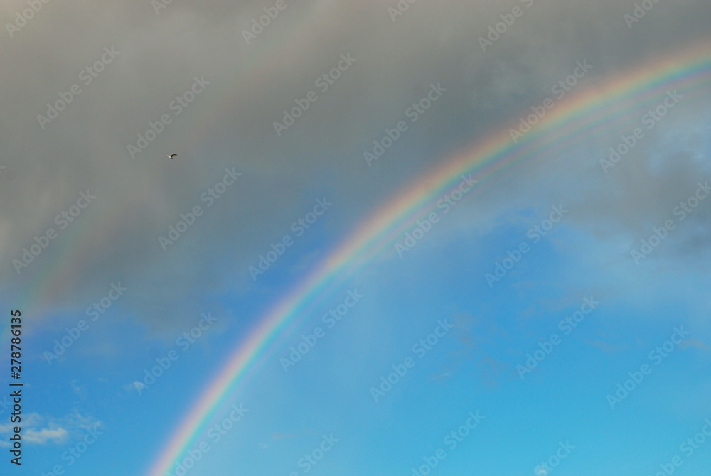 Beautiful rainbow in the blue sky shimmers bright colors Beautiful rainbow in the blue sky shimmers bright colors