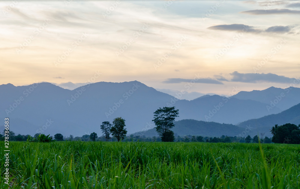 Landscape of The greenery of the local nature of Thailand With views of the mountains and grasslands at sunset