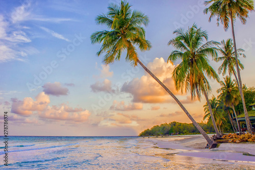 Paradise nature  palm trees on the tropical beach at sunset. Summer travel background