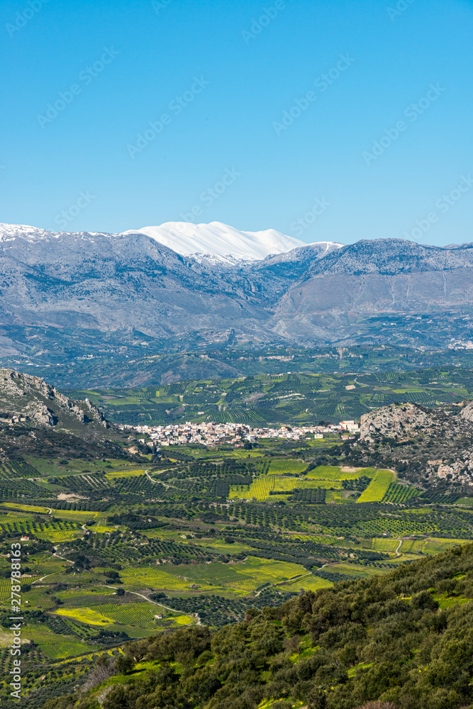 Fototapeta premium Aerial view of rural Archanes region landscape. Unique scenic panorama Olive groves, vineyards, green meadows and hills view in spring. Psiloritis montain in background. Heraklion, Crete, Greece