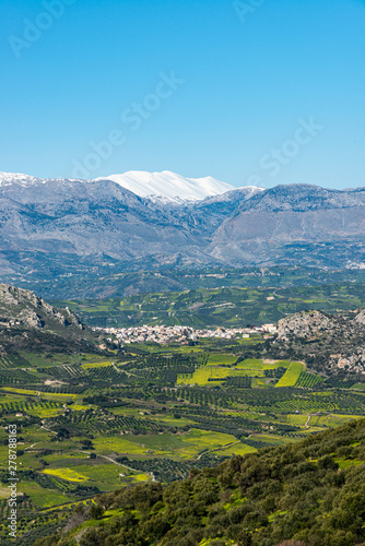Aerial view of rural Archanes region landscape. Unique scenic panorama Olive groves  vineyards  green meadows and hills view in spring. Psiloritis montain in background. Heraklion  Crete  Greece