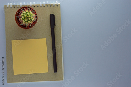 Green cactus on a work notebook with a black pen and a yellow sticker. Mocup working area concept top view